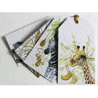 Growing Paper In The Veld Tags